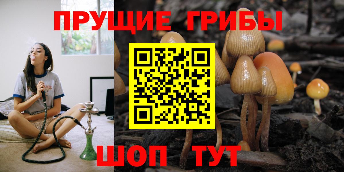 Псилоцибиновые грибы MAGIC MUSHROOMS Жуковский